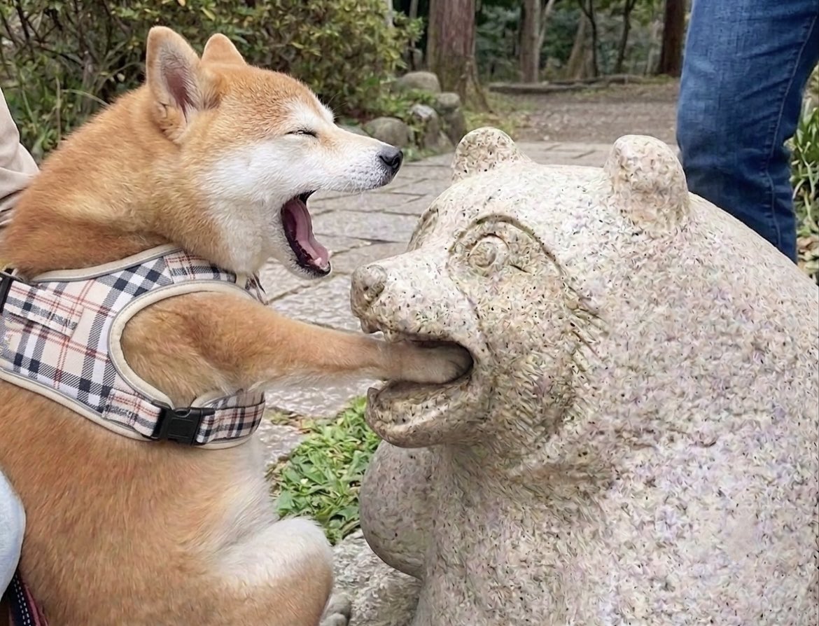sOObgF