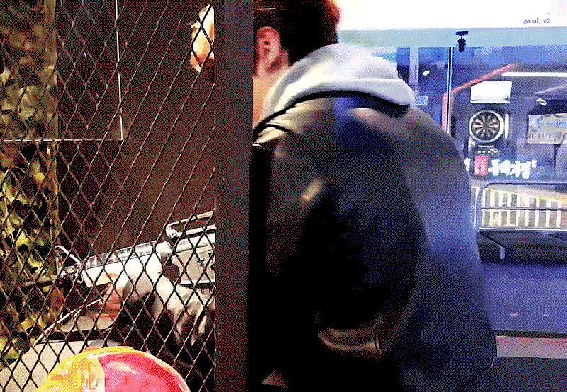sOvcGr.gif