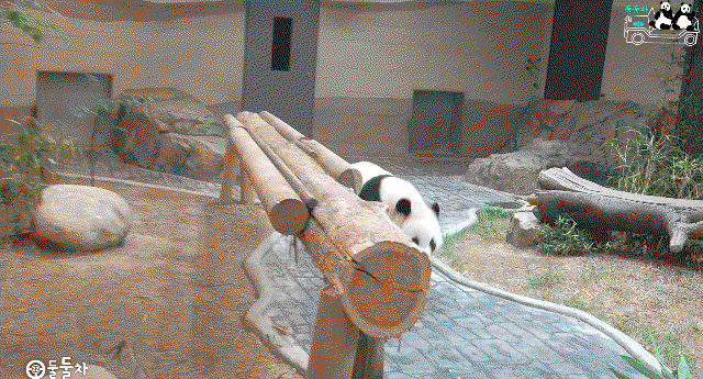 sPOQoz.gif