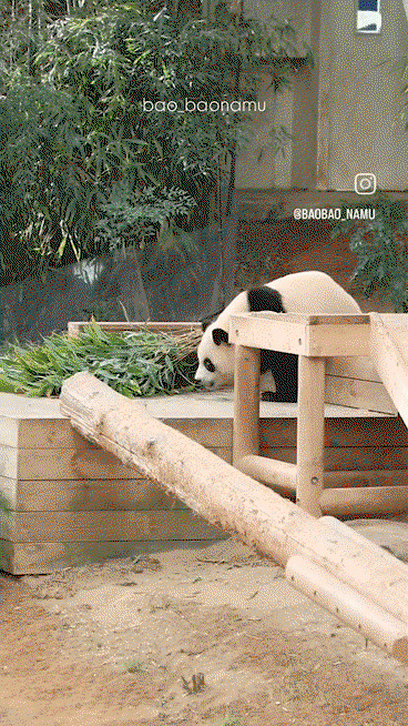 sRdAmP.gif