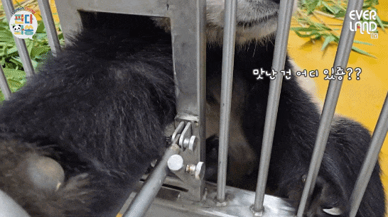 sZkFDg.gif