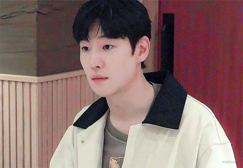 sbteTK.gif