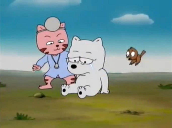 seNeJn