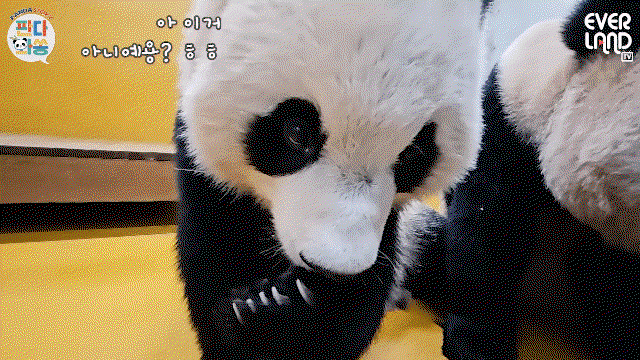 sePZDr.gif