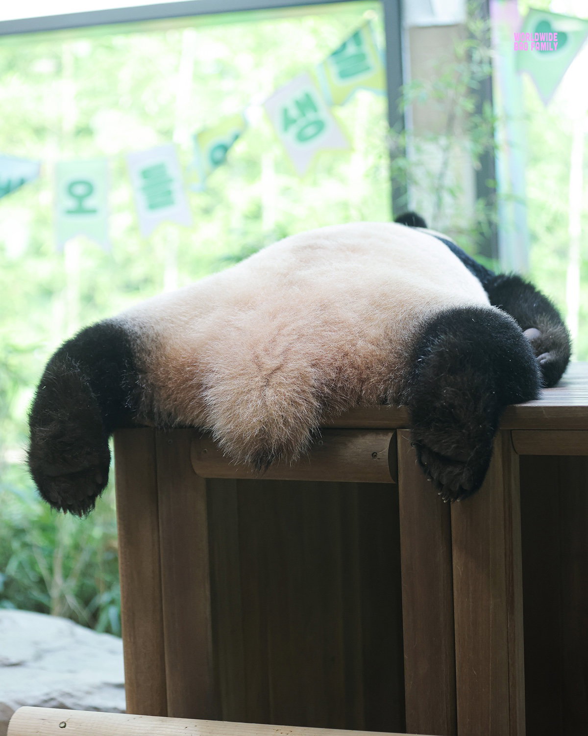 shEDfU