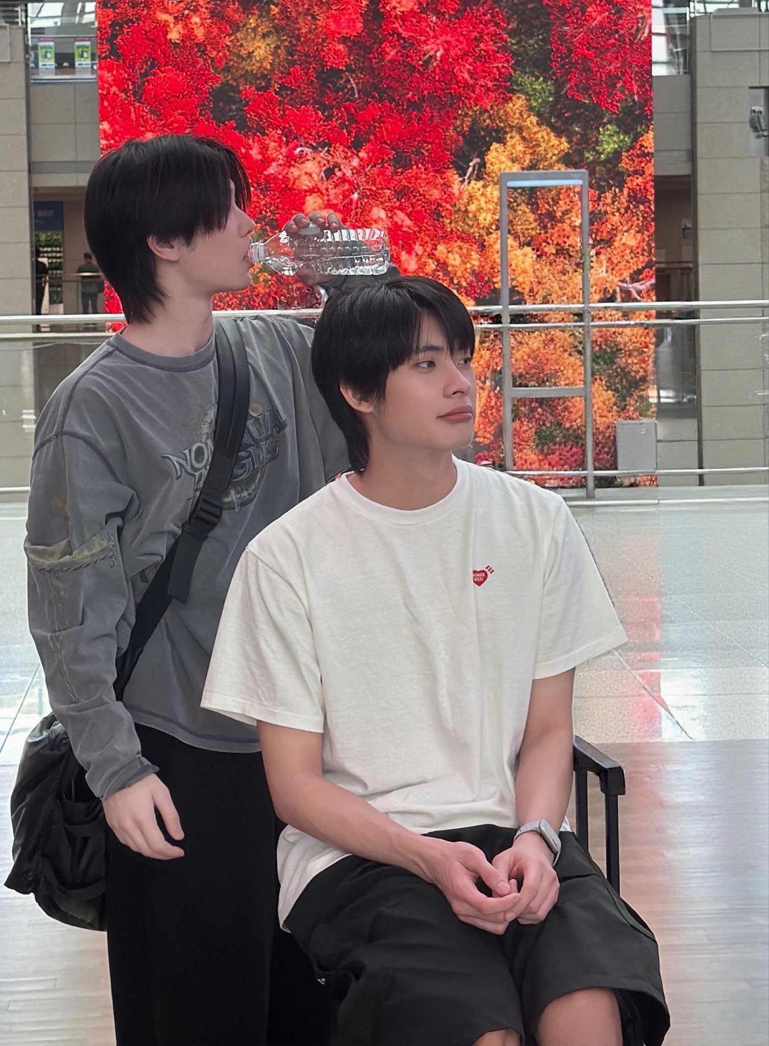 sjCBch