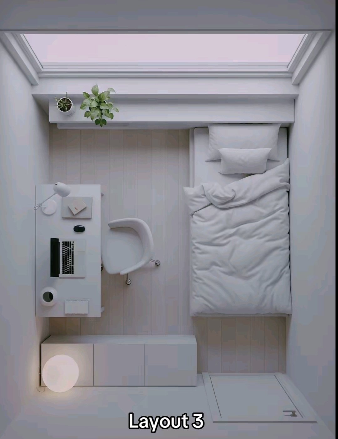 sjDTim