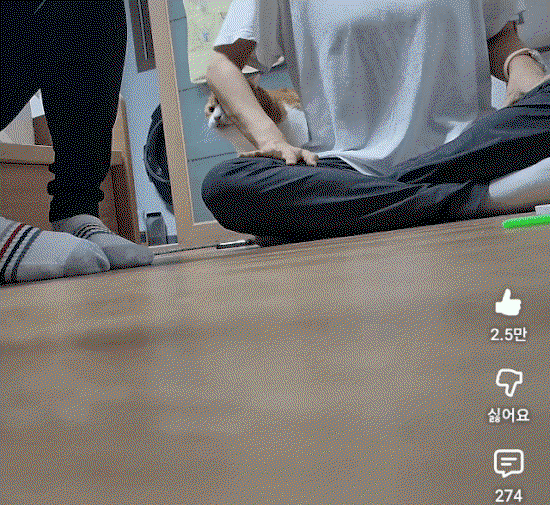 sjpyFx.gif
