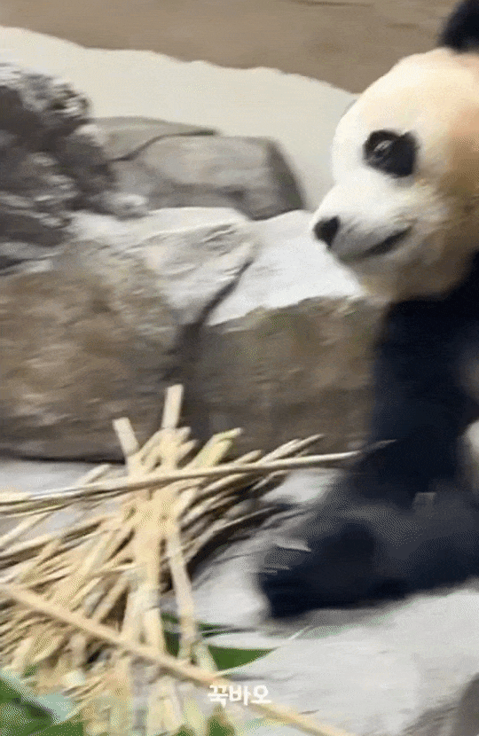 skhhkV.gif
