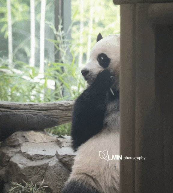 snXzUC.gif