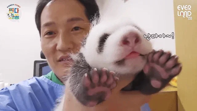 snqeez