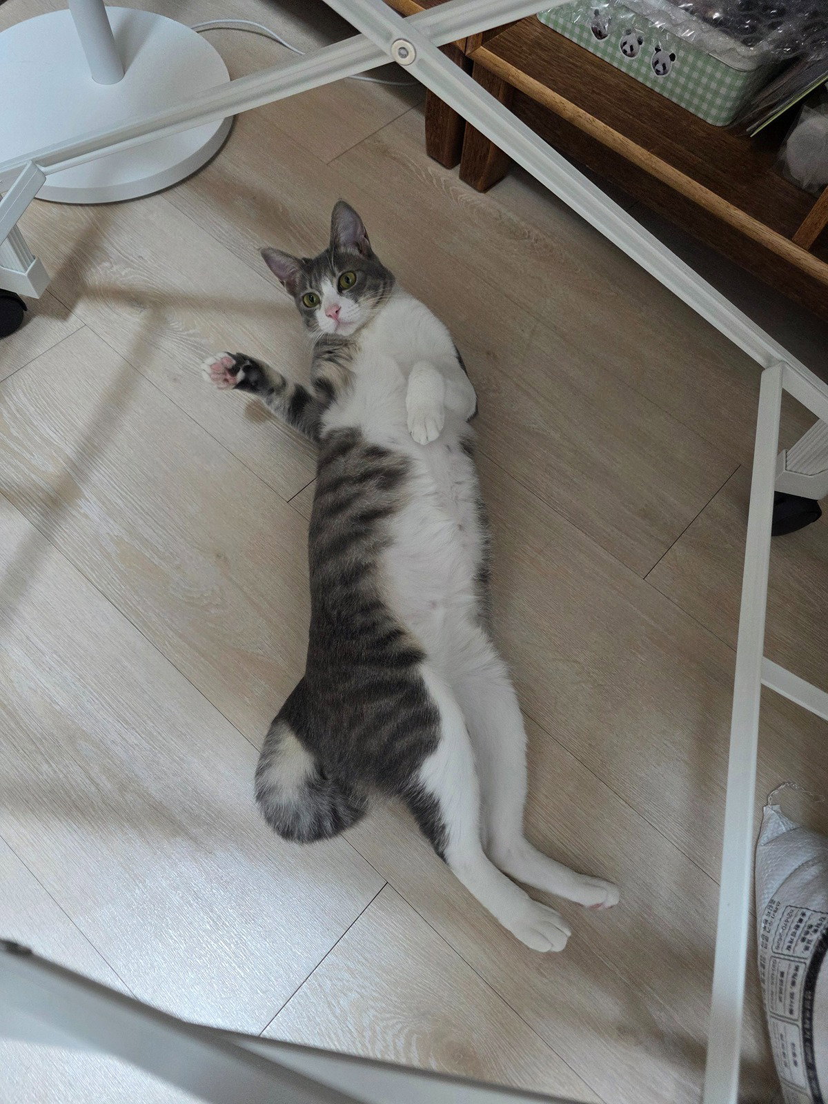 soxcNa