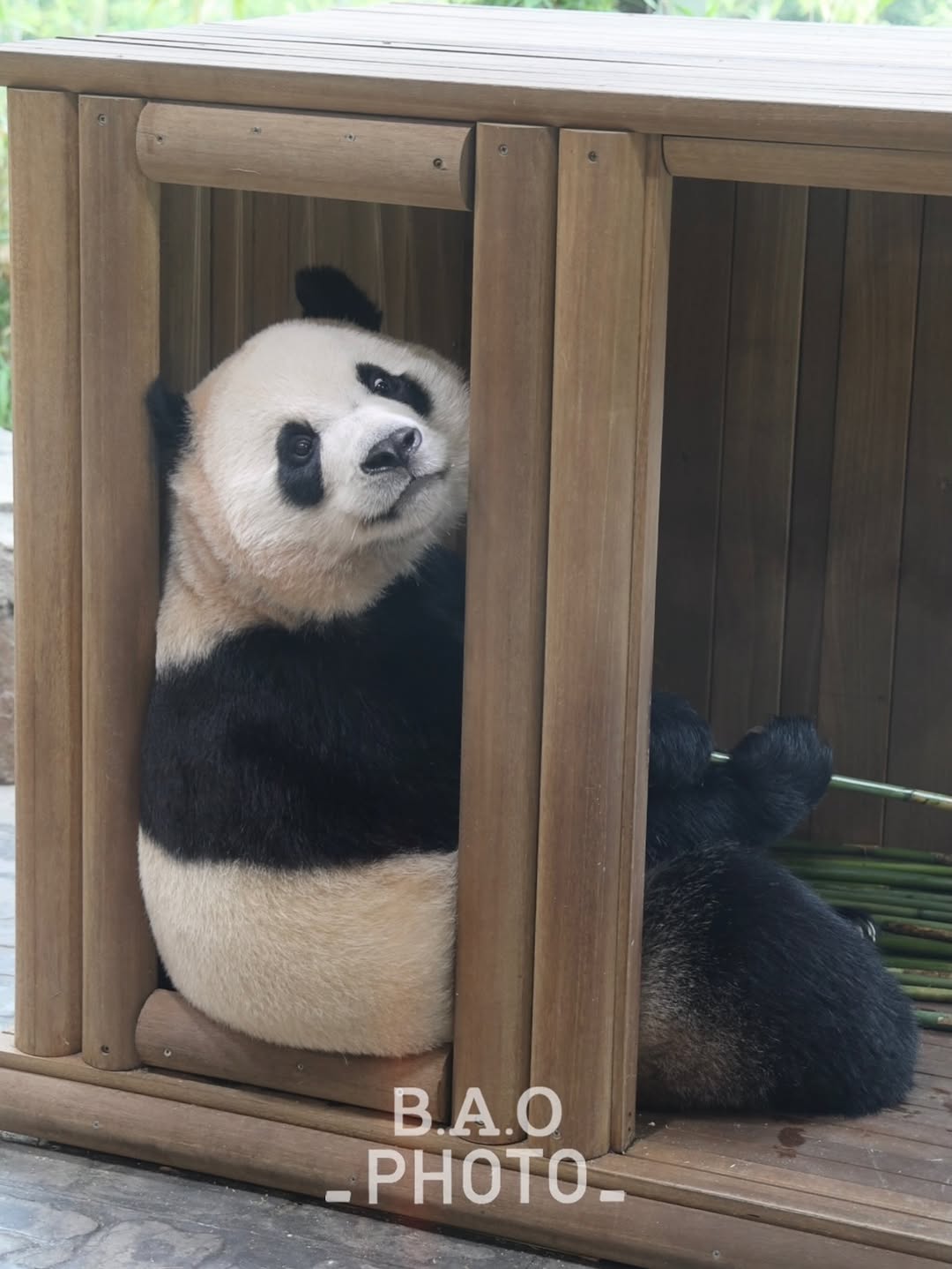 sqaMRB
