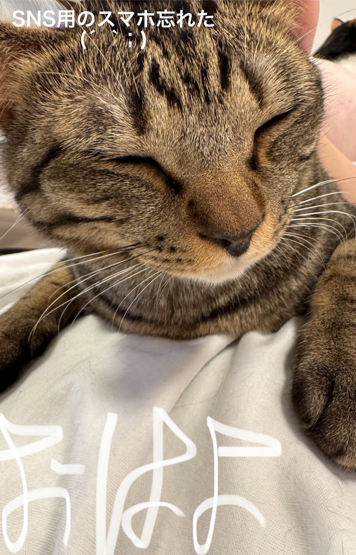 suGIdP