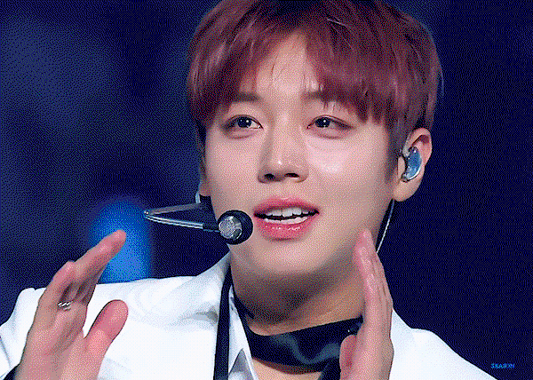 swANYJ.gif