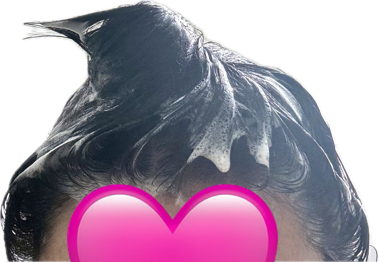 sweLAx