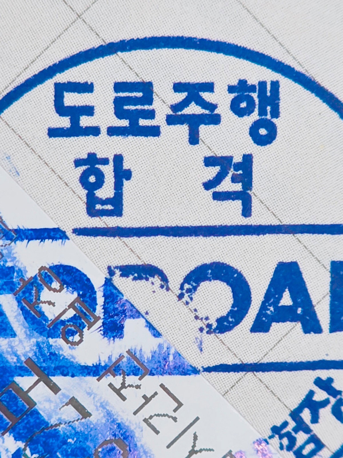sxaXPW