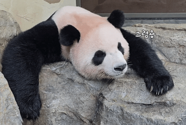 sxhrro.gif