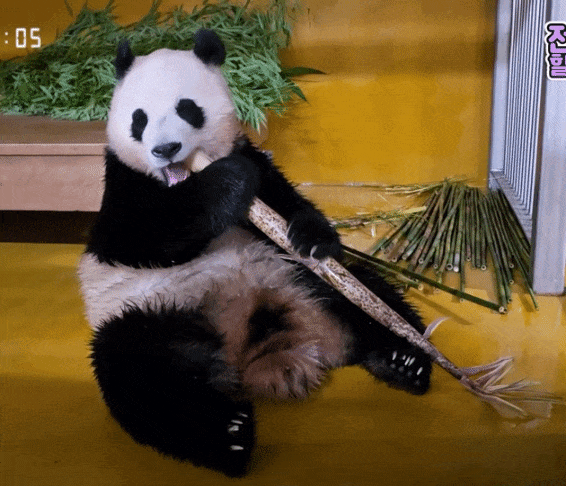 sxiRkf.gif