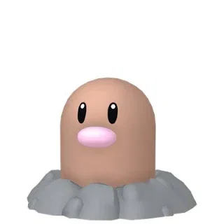 sxnWDW