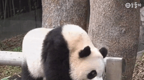 szdAac.gif
