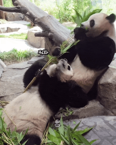 tAwIKQ.gif