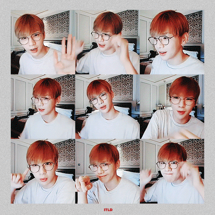 tBOASc.gif