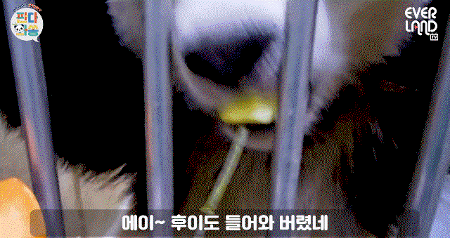 tFhxIb.gif