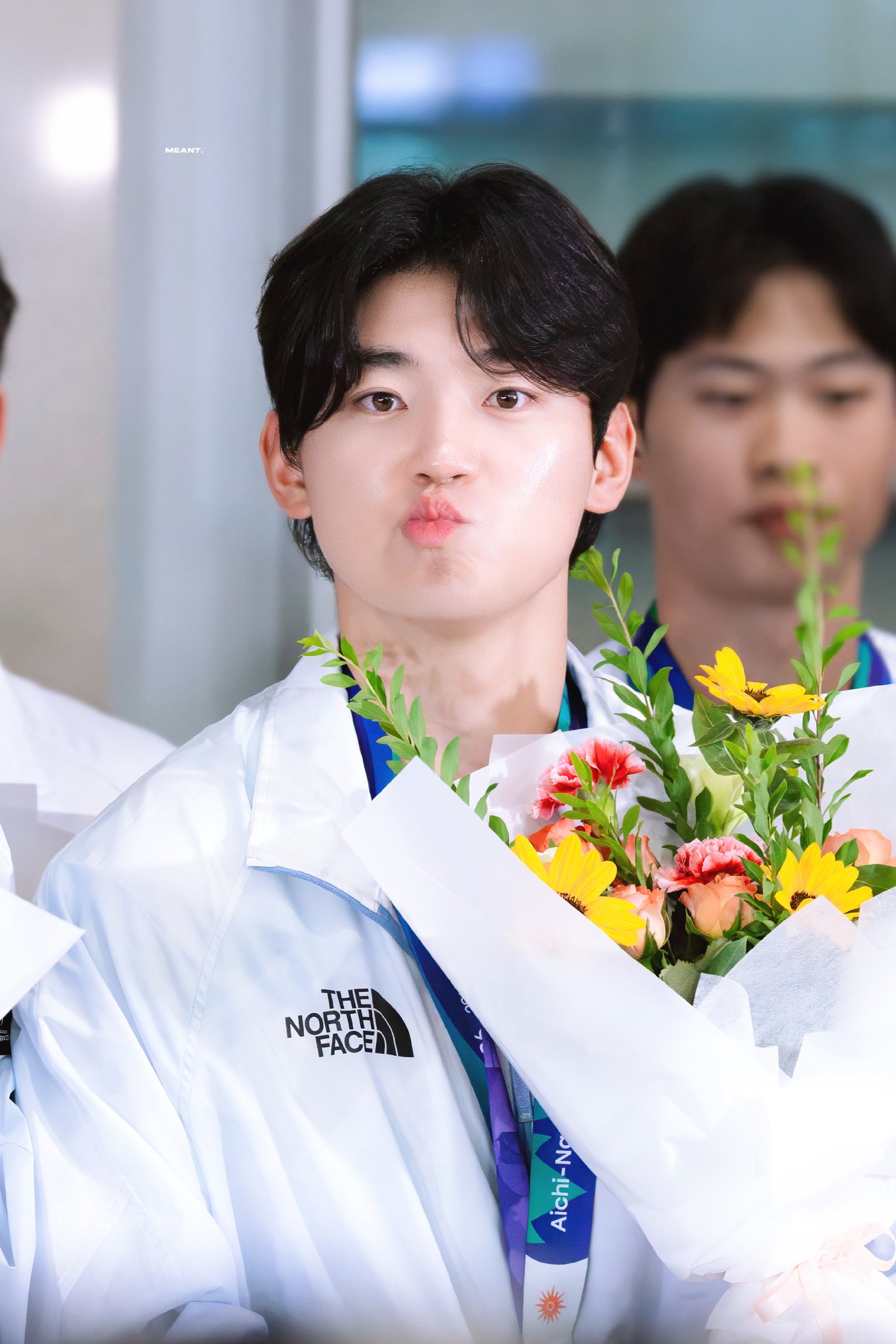 tInpIL