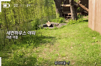 tKAlEP.gif