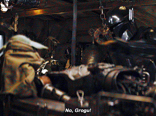 tNtlSG.gif