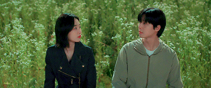 tOBWbg.gif