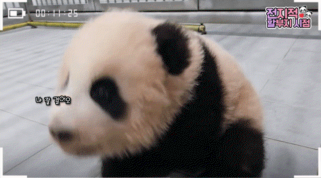 tRphZI.gif