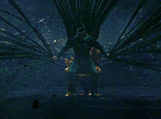 tSfjAy.gif