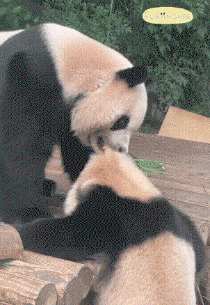 tTEzxM.gif