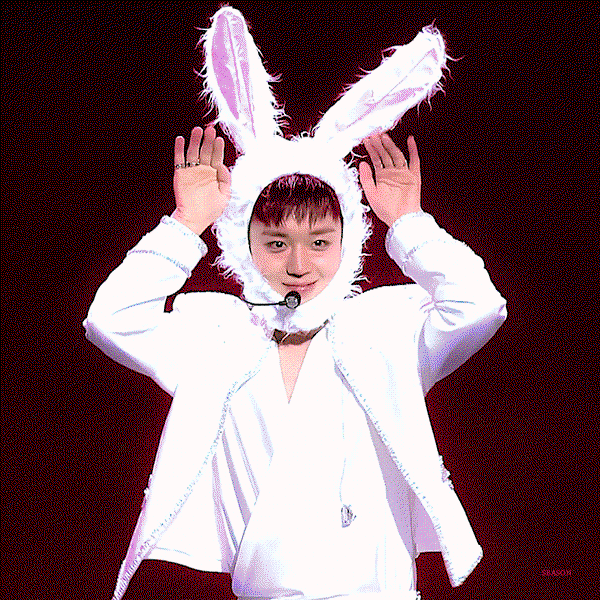 tTkAmG.gif