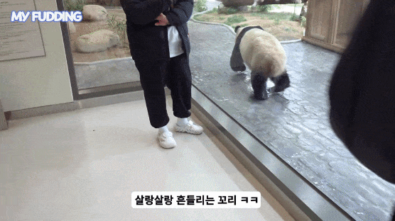 tWYqXH.gif