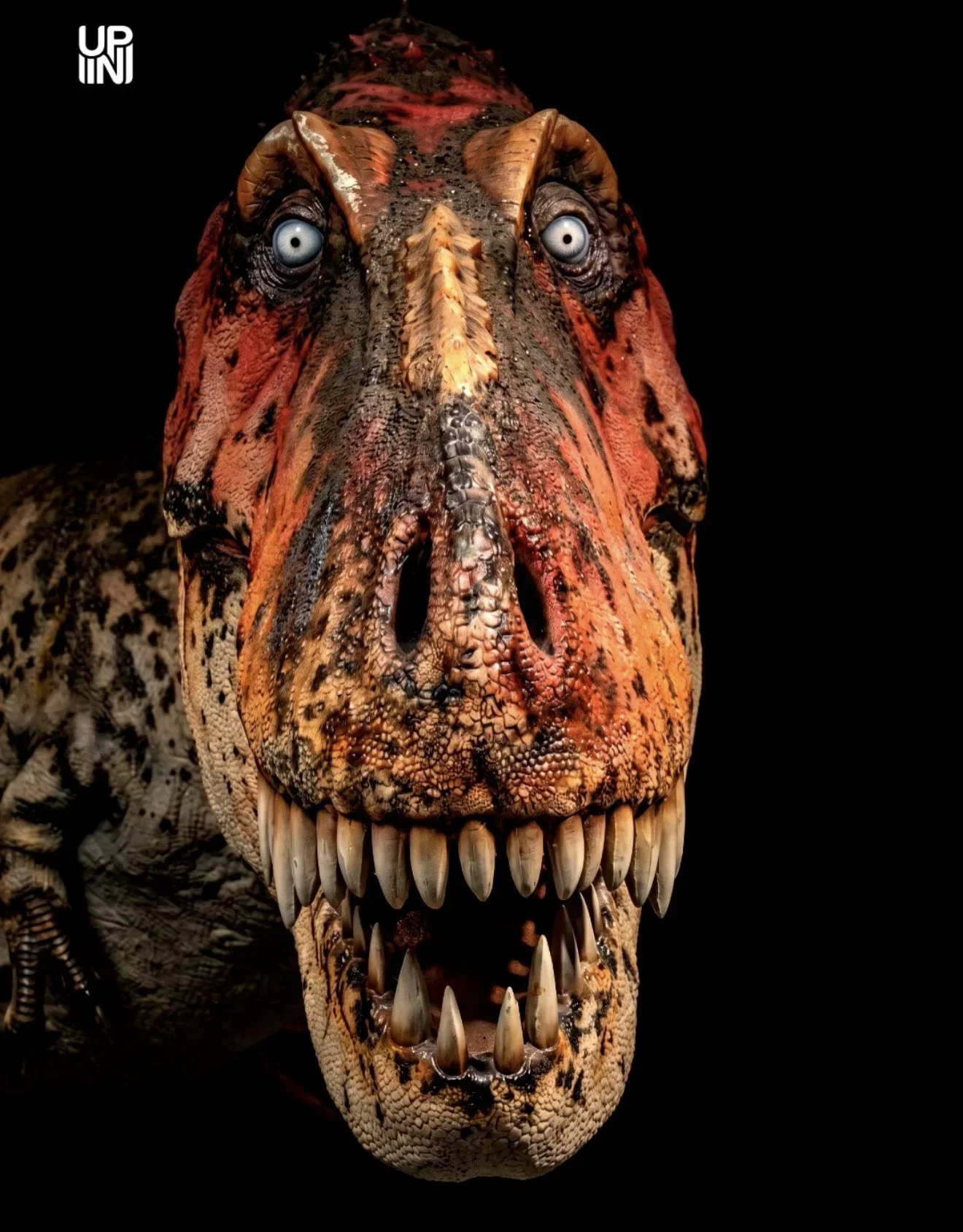 tYhGEq