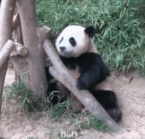 tZRJhI.gif