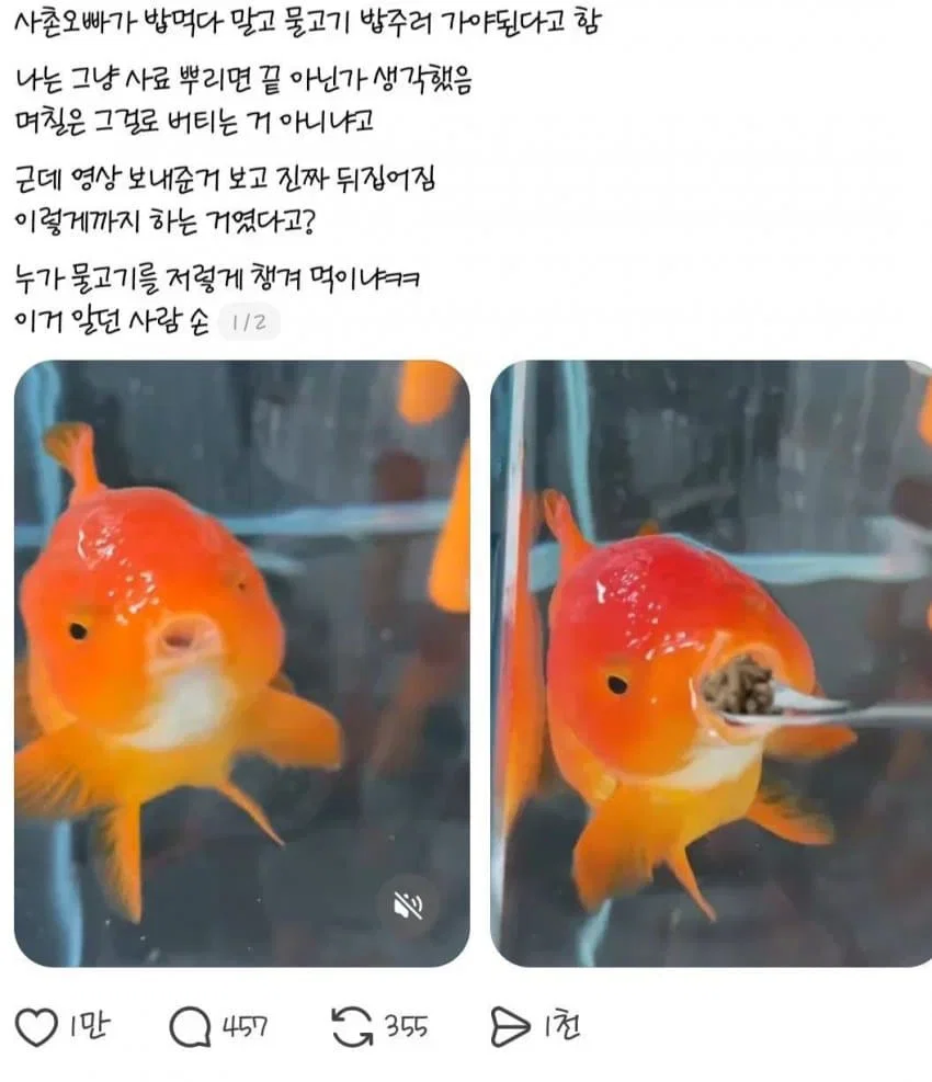 taDhxq