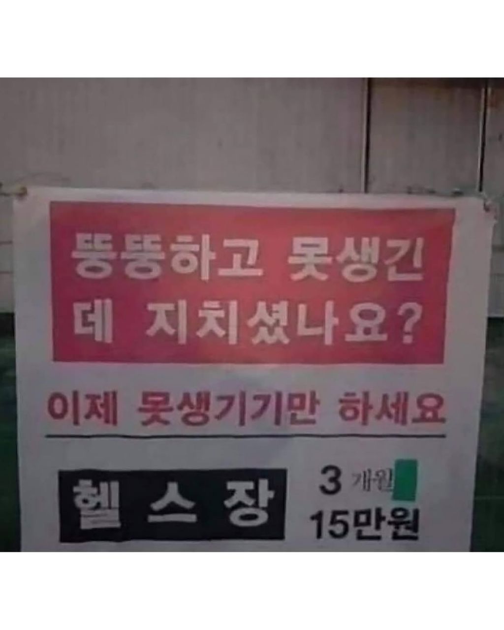 taEmLZ
