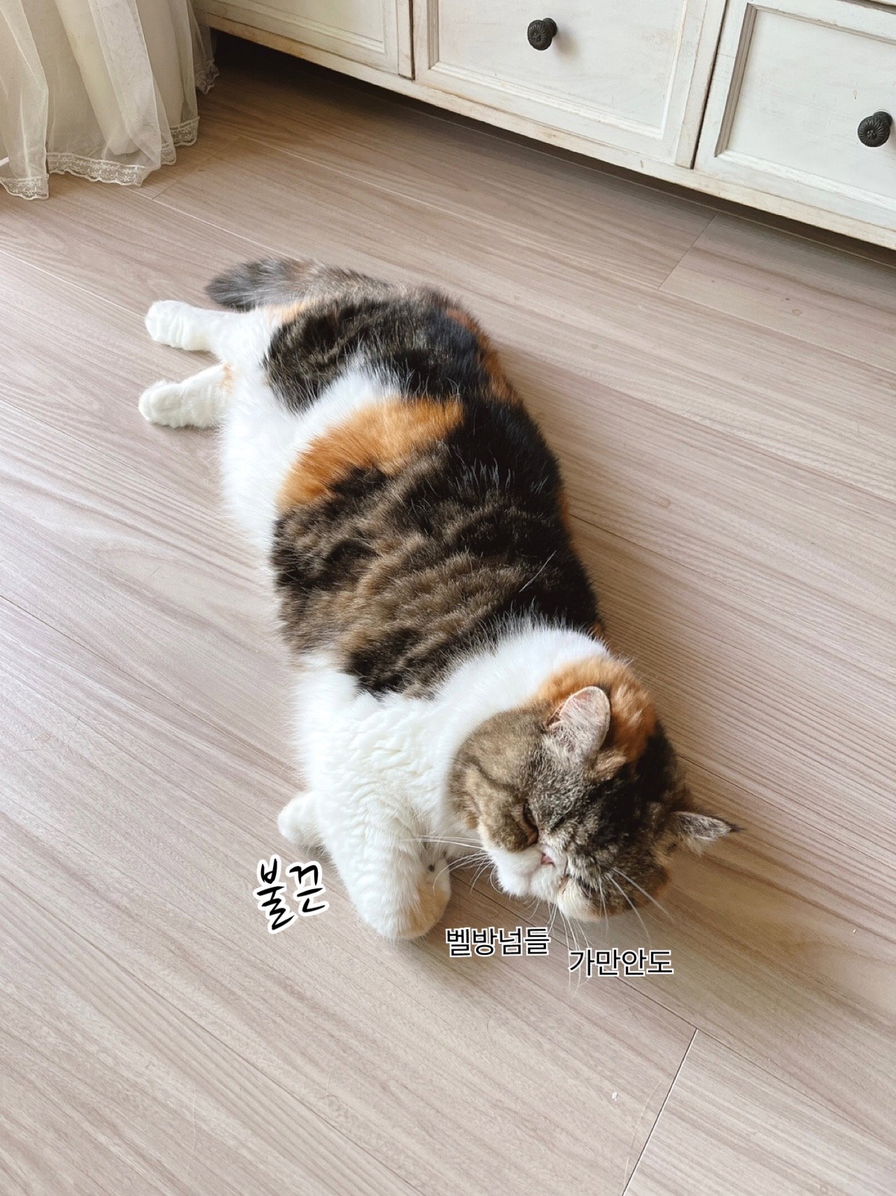 taWxnS