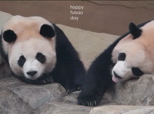 tgIfLz.gif