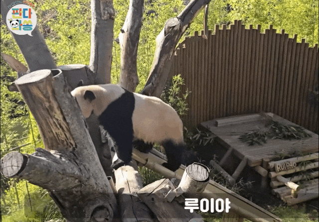 thZPDd.gif
