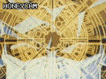 tielan.gif