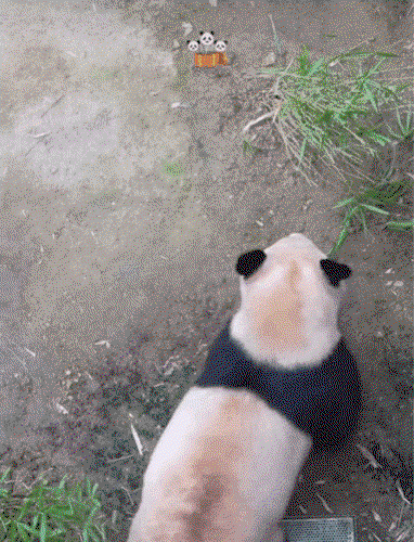 tlezBM.gif