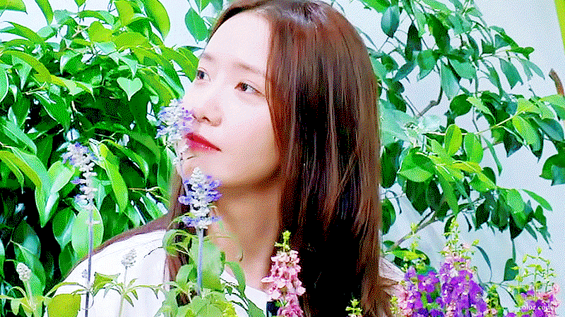 tnSnHh.gif