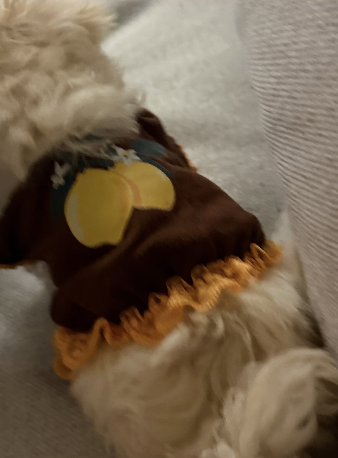 tpfbZL