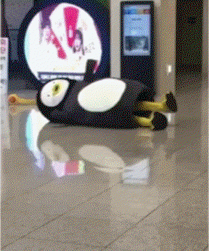 tprVwX.gif