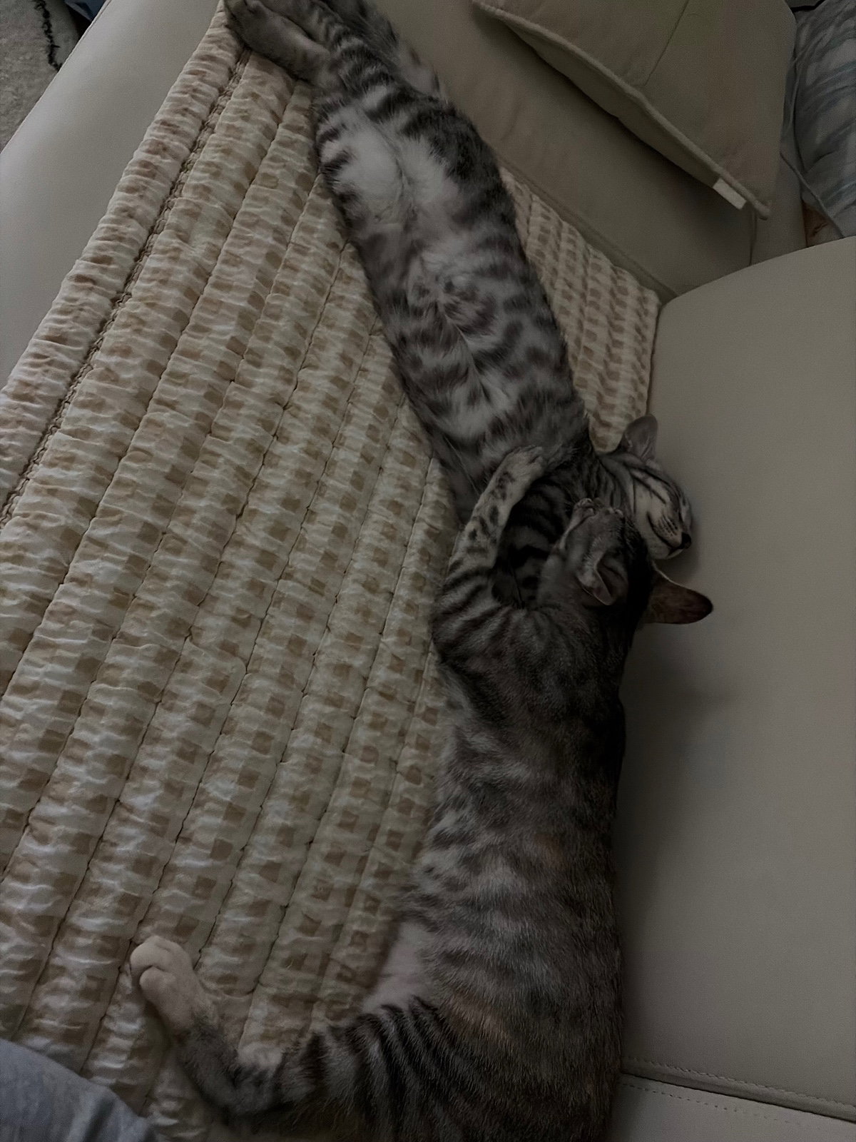 tpwMCf